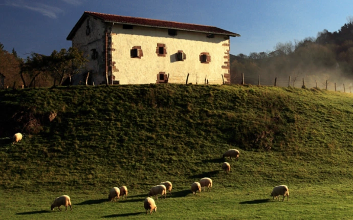 pasto de Zamora donde se crian las ovejas de nuestros quesos